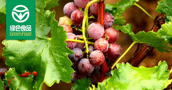 世界杯投注官网